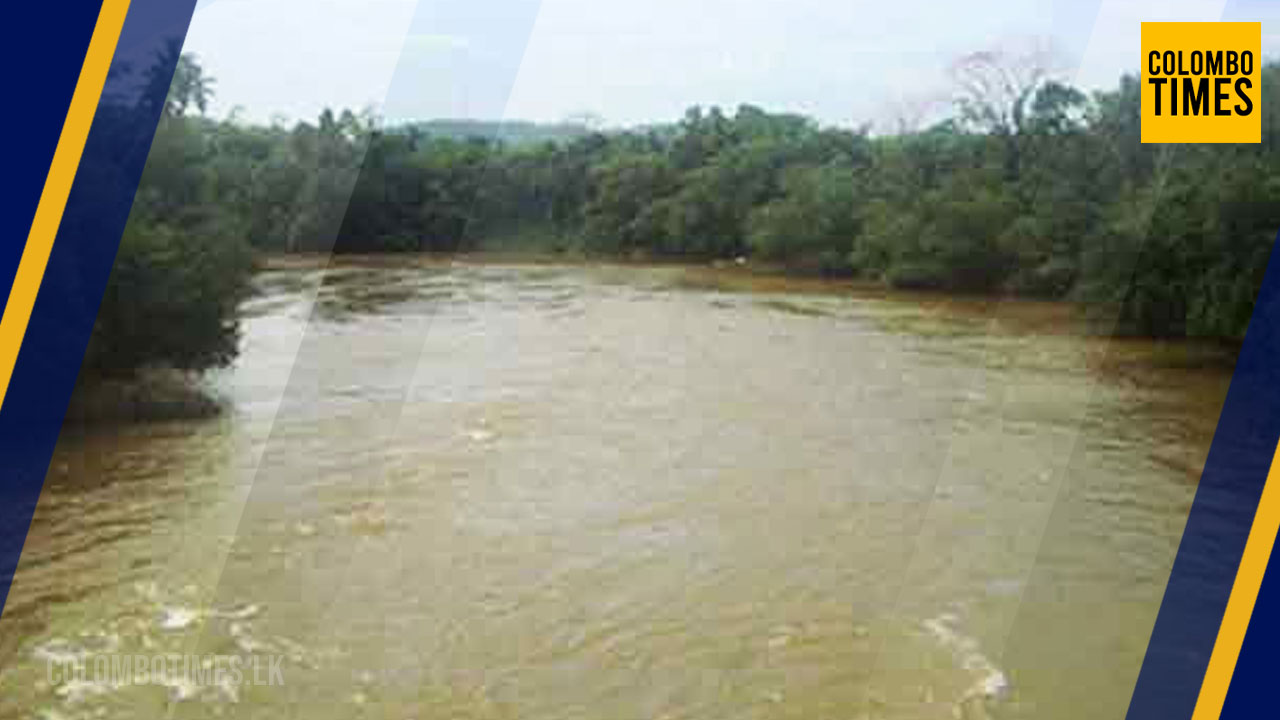 colombotimes
