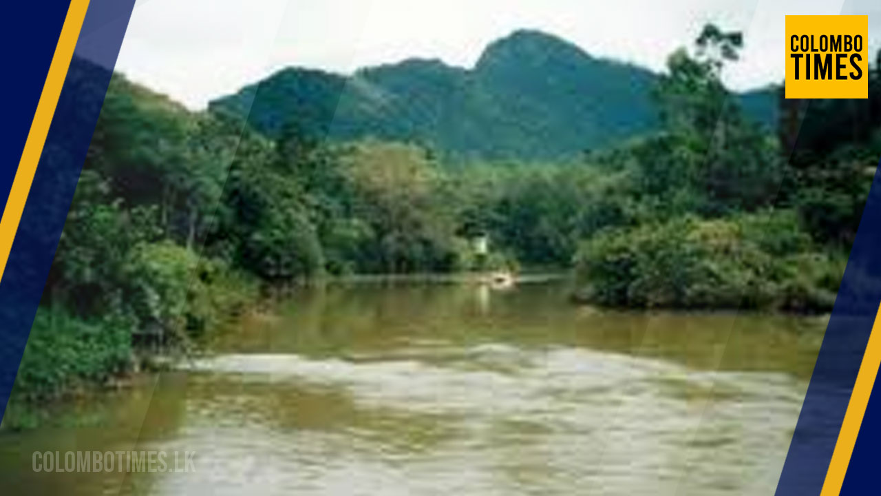 colombotimes